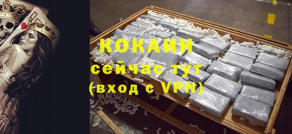 ГАЛЛЮЦИНОГЕННЫЕ ГРИБЫ Абаза