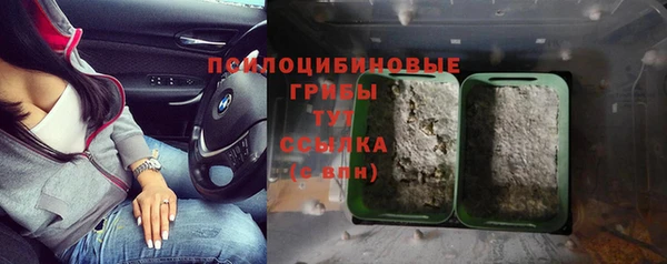 ECSTASY Алексин