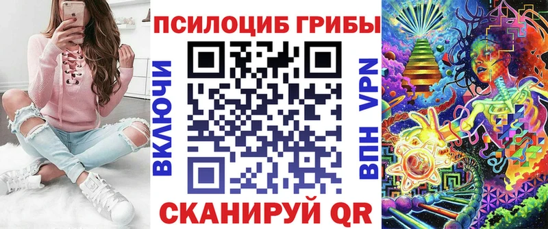 закладки  Лесозаводск  omg зеркало  Галлюциногенные грибы Psilocybe 