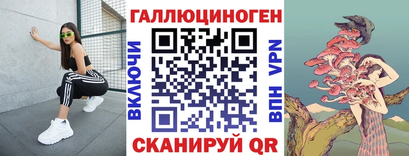 Псилоцибиновые грибы Psilocybe Лесозаводск