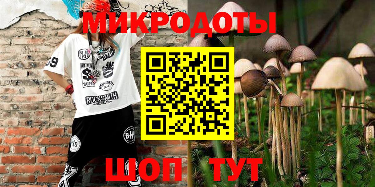 Лесозаводск  купить закладку  Вход с VPN  Псилоцибиновые грибы Psilocybe 