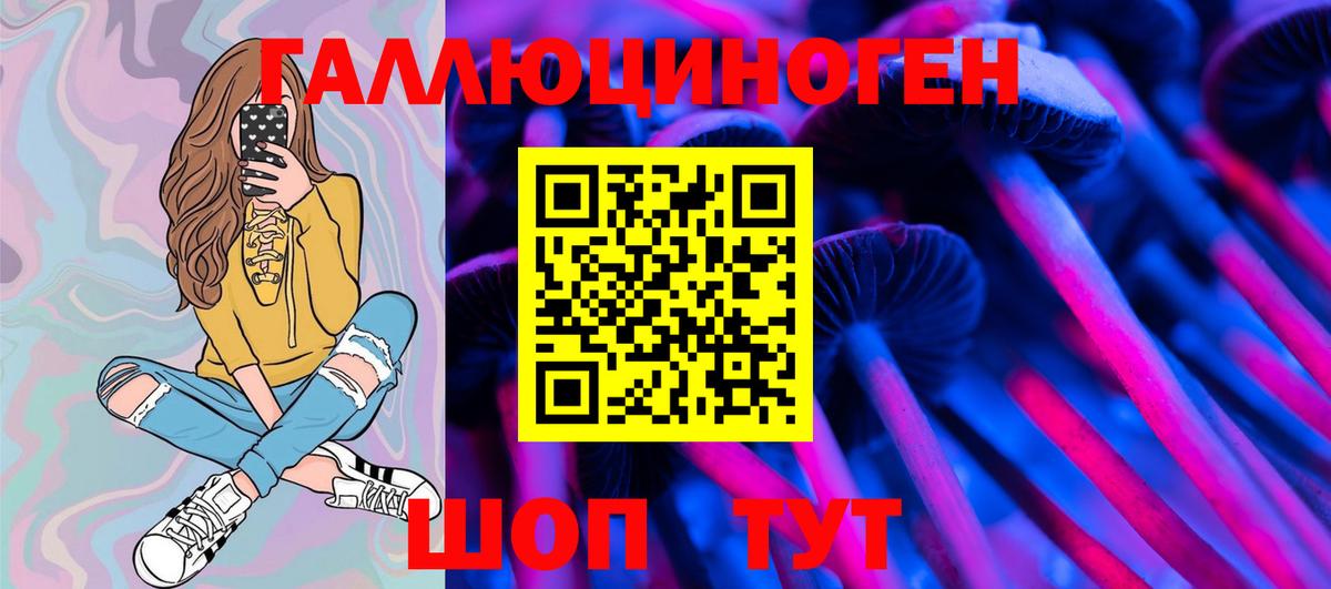 Галлюциногенные грибы Psilocybe Лесозаводск